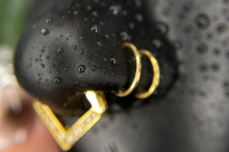 Beautyrella Piercing & Beauty Studio Berlin
